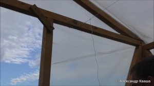 Как подвязывать помидоры (томаты) в теплице?