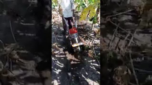 MINI POWER WEEDER смотреть онлайн