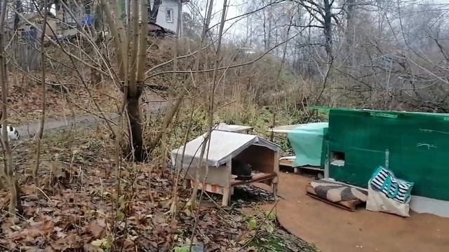 Домашний приют. Люди смотрят домик и приходят в восторг. смотреть онлайн