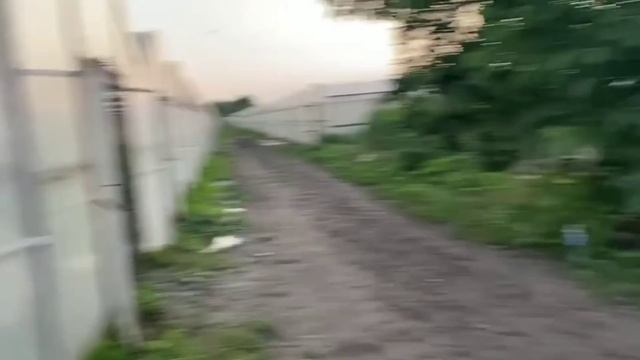 Теплица уход за растениями 9 часть и разное новости... смотреть онлайн