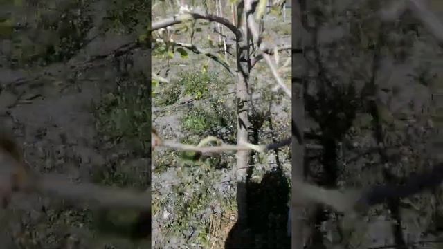 7мая 2022 год. Дела содовые.