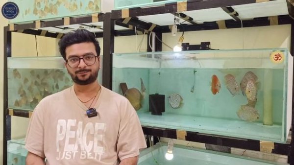 Yash Patel | Eruption discus king | how to keep discus fish | discus fish for sale | discus fish