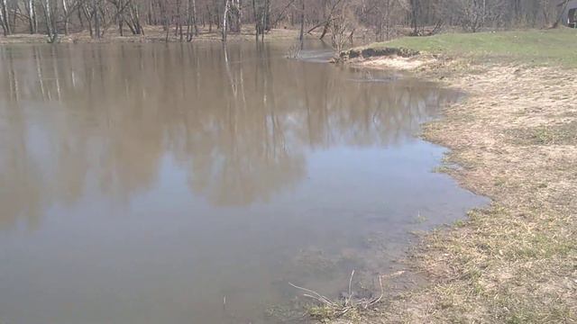 Разлив реки Псел. Первый раз такое вижу. смотреть онлайн