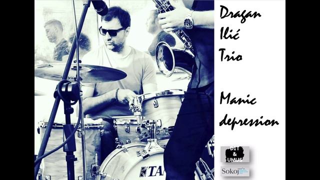 Dragan Ilić Trio | Manic Depression (2/8)