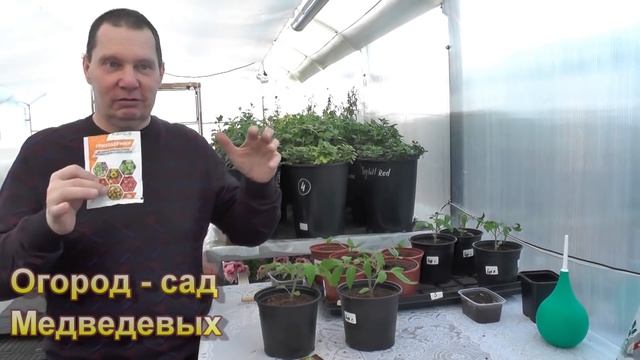 Как поставить заслон болезням рассады смотреть онлайн