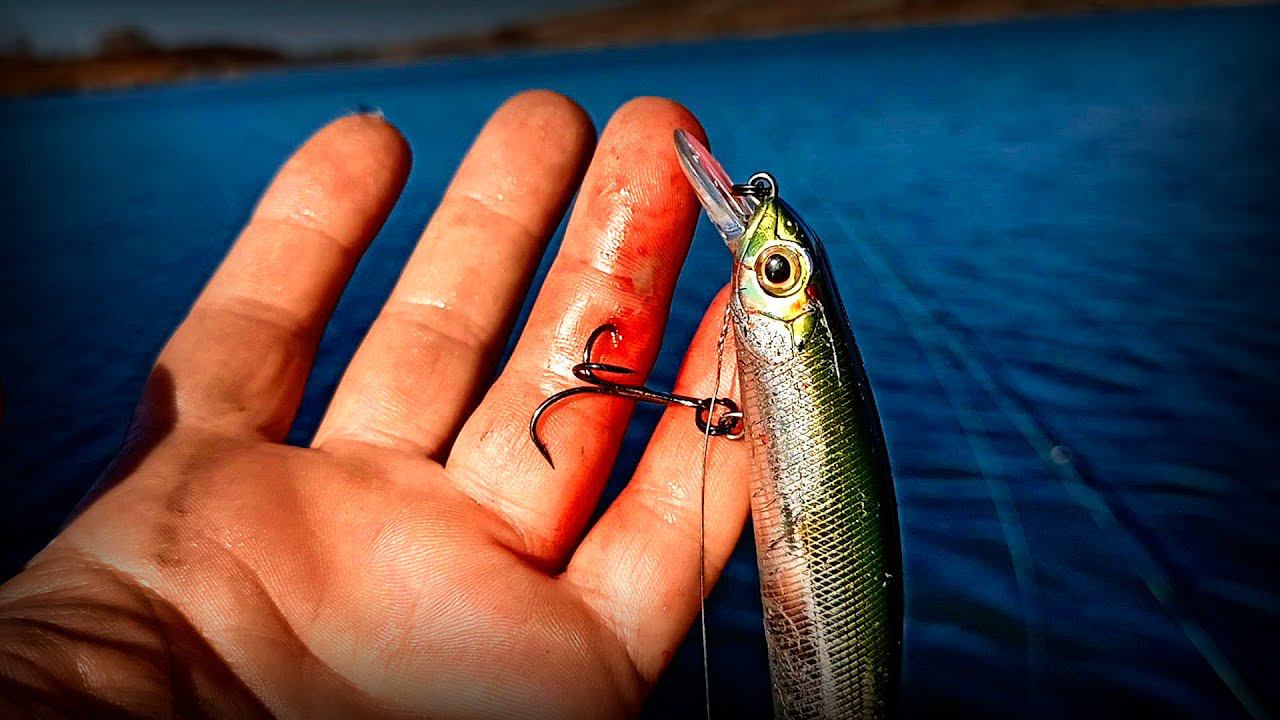 Как я попался на крючок, вместе со щукой!!! Трагедия на рыбалке! Поехал на рыбалку, а получилось... смотреть онлайн