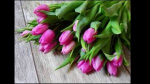 Наши мамы самые красивые