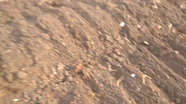 15.02.2023 сею в теплице... смотреть онлайн