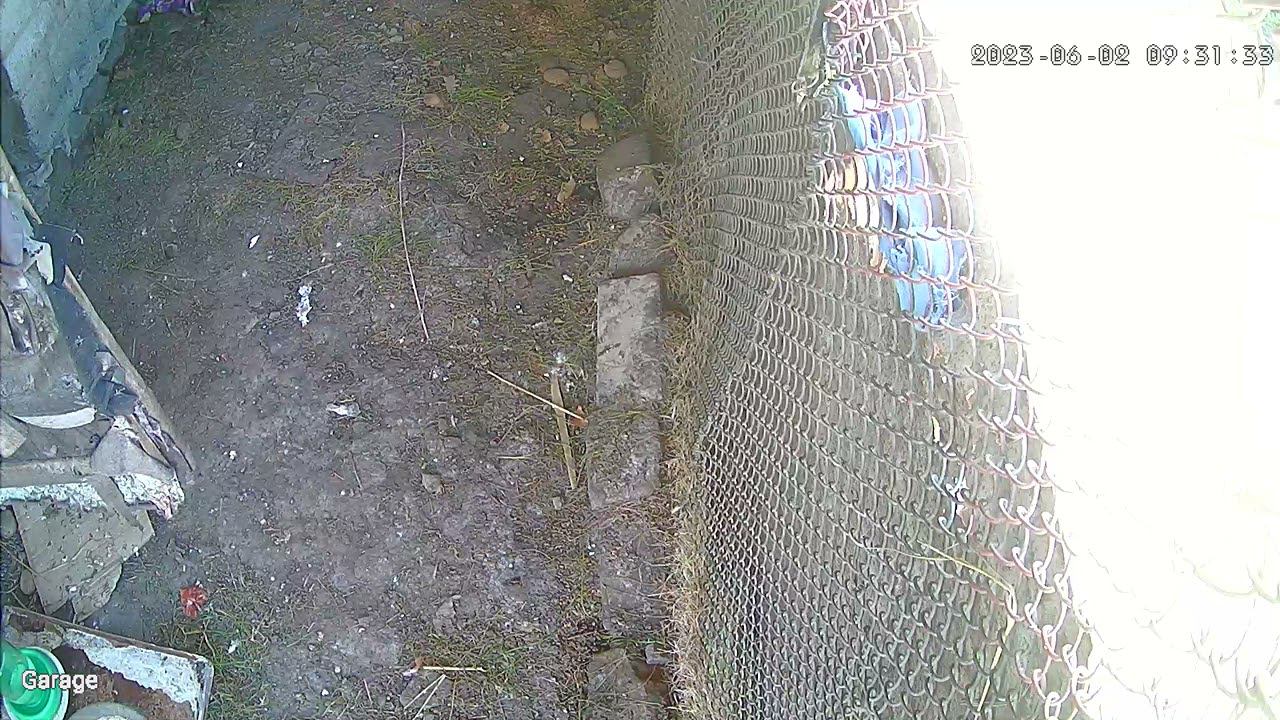 Вор смотреть онлайн