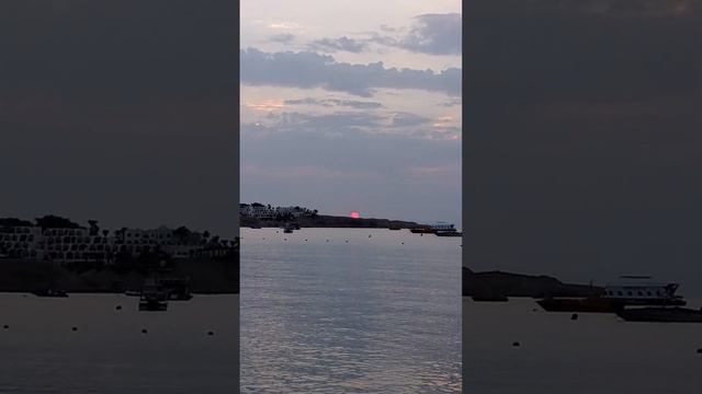 14 октября 2023 г. Рассвет на Красном Море Египет смотреть онлайн