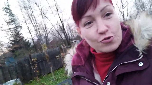 2.11.2023 посадка#фундука(лесной #орех) под зиму.#эксперимент смотреть онлайн