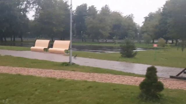 Прогулка по набережной в Бресте. смотреть онлайн