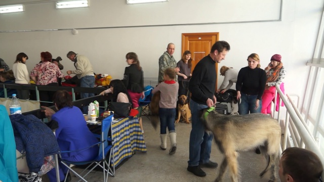 зимние кружева