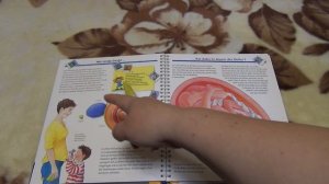 "Откуда берутся дети". Детская энциклопедия.