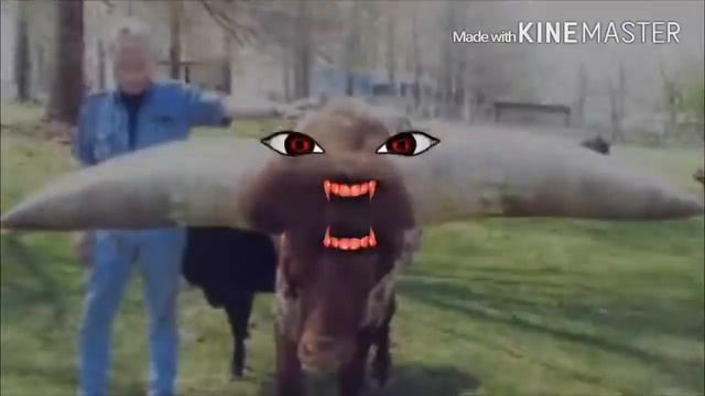 Топ 10 удивительных живых существ смотреть онлайн