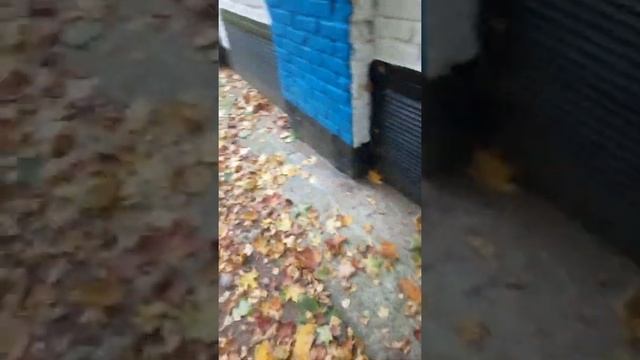 сжёг тетрадь по матеше