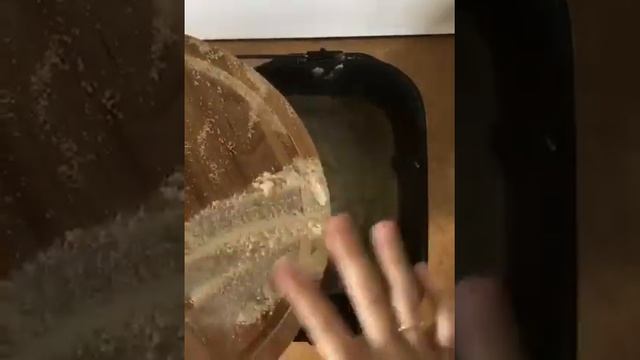 Цирковые Представления и Шоу