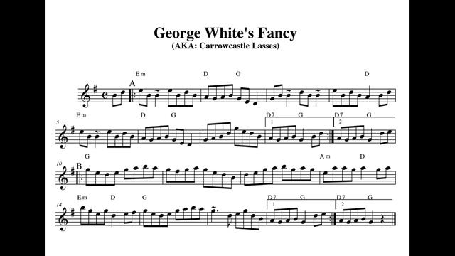 George White's Fancy (Reel) on tenor banjo for the Rochester CCE Learners Session смотреть онлайн
