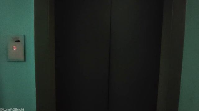 260124/Лифт Щербинка в одной из химкинских многоэтажек\9859 смотреть онлайн