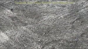 Сеем газонную траву правильно: подробная видео инструкция