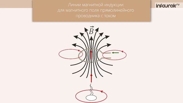 Магнитное поле. Магнитная индукция | Физика 11 класс #1 | Инфоурок смотреть онлайн