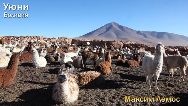 18 выпуск. БОЛИВИЯ, Тур по Уюни. Самое большое в мире плато. Гейзеры-источники-фламинго-цветные гор смотреть онлайн