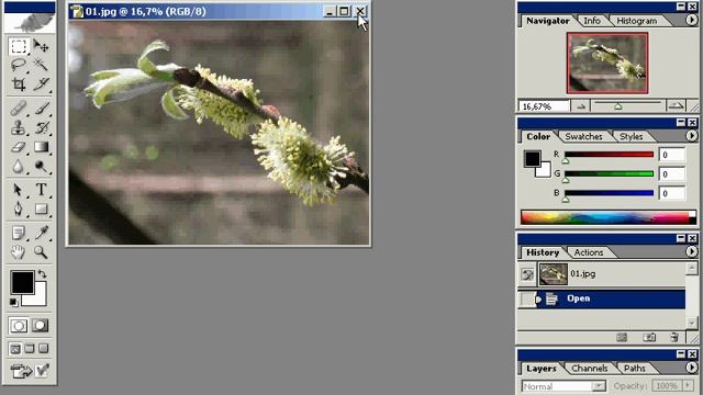 Фотошоп. Часть 1 смотреть онлайн