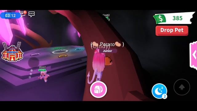 Making A Neon Otter #2!!