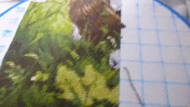 "Белки" от "Золотое Руно" - отчет №2 смотреть онлайн