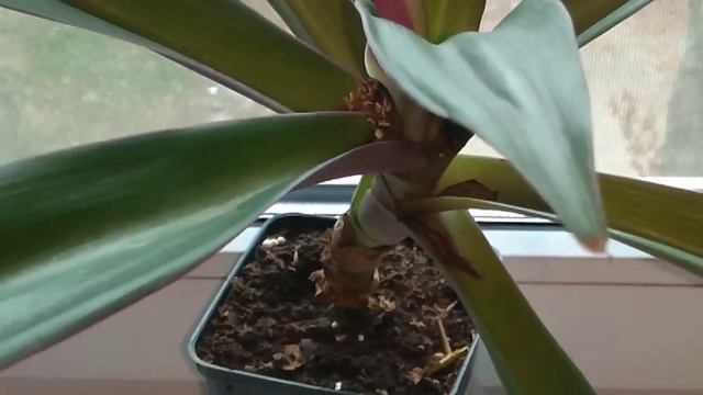 Рэо Обзор формирование советы смотреть онлайн