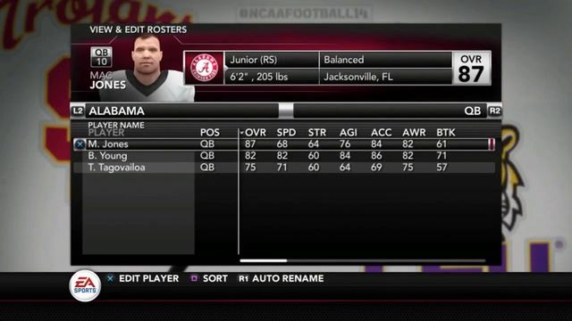 NCAA FOOTBALL 14: This Game Was Special смотреть онлайн