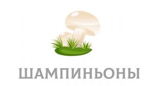 Изучаем грибы. Съедобные и несъедобные. Карточи домана