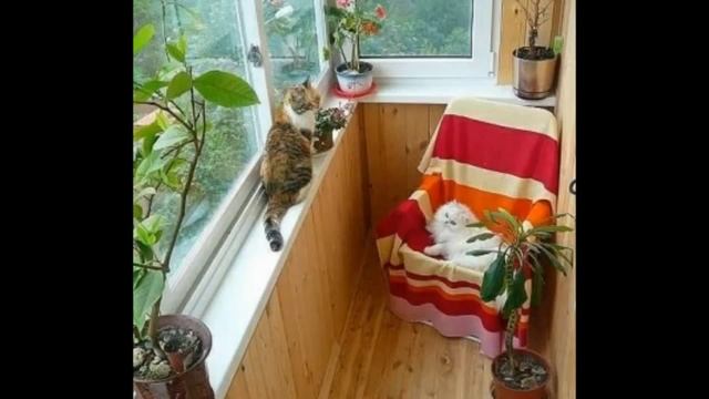 Максимус окна - красивые балконы, оформленные своими руками смотреть онлайн