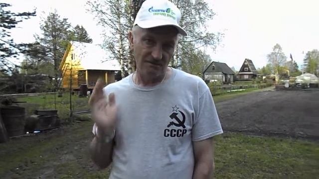 Зеленые приключения: идеи для активного сада