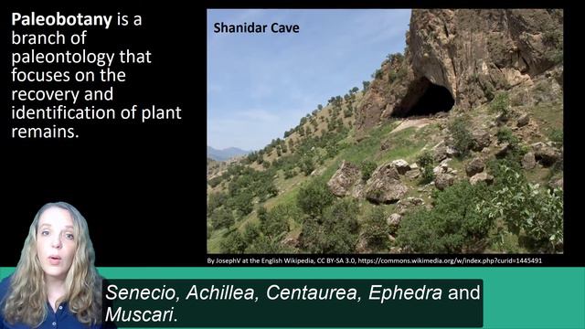 Paleobotany: Biological Records of Ancient Medicinal Plant Use смотреть онлайн