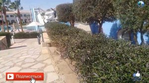Reef Oasis Blue Bay Resort Риф Оазис Блю Бэй Резорт 2020  Шарм эль Шейхе Египет (часть 2)