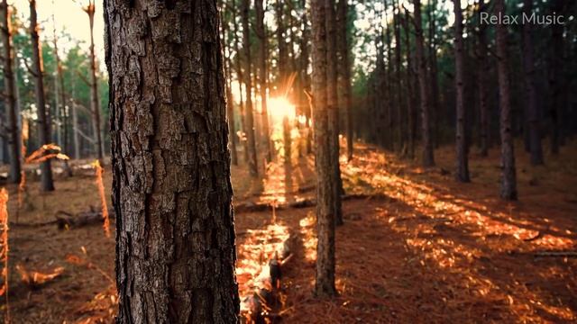 Музыка Для Беременных Красивая Музыка Для Будущих Мам ♫???? смотреть онлайн