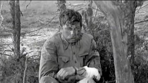 А зори тихие в березовом краю new