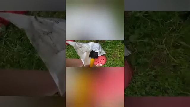 ИЛЕЙКА И ЛЕЙКА смотреть онлайн