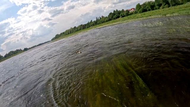 голавли большой реки и бонус смотреть онлайн