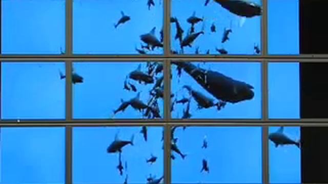 SAGE on HIPerWall (Mac head node, closeup) смотреть онлайн