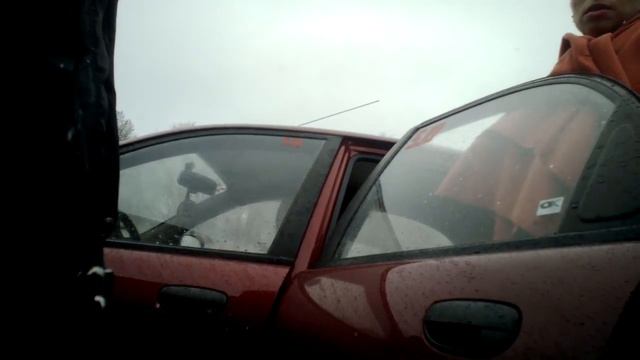 Спасение животных: Кого в реальности нужно кастрировать? смотреть онлайн