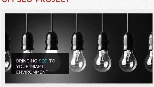 UM SEO PROJECT смотреть онлайн