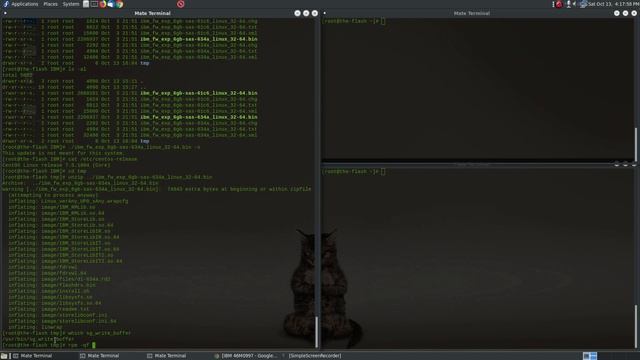 How to update firmware of IBM SAS expander 46M0997 in a non-IBM system смотреть онлайн