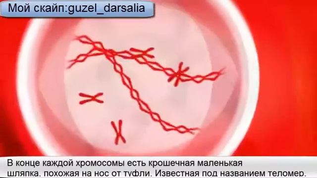 АМ и PM смотреть онлайн