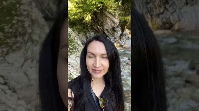 Тисо-самшитовая роща #сочи #самшитовая роща смотреть онлайн
