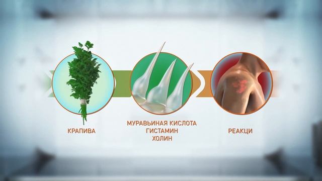 Продукт недели: крапива смотреть онлайн