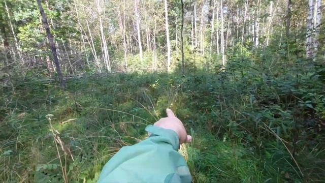 ?Устала собирать грибы! ? Грибалка 2023? смотреть онлайн