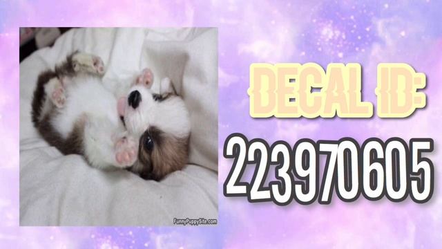 Roblox Bloxburg - Cute Puppy Decal Id's смотреть онлайн