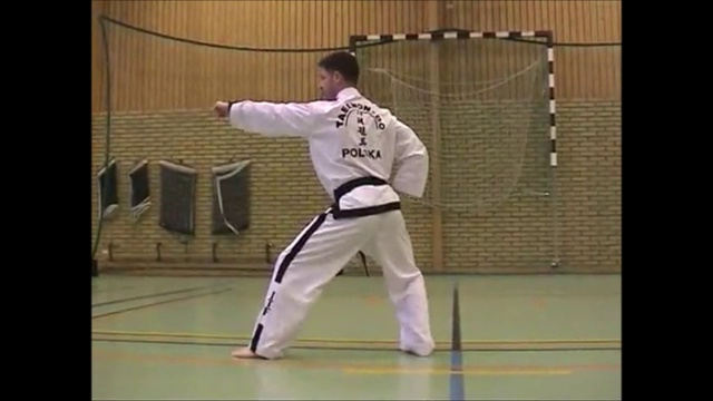 Вон-Хе (Won-HyoTul-Taekwondo techniques) смотреть онлайн